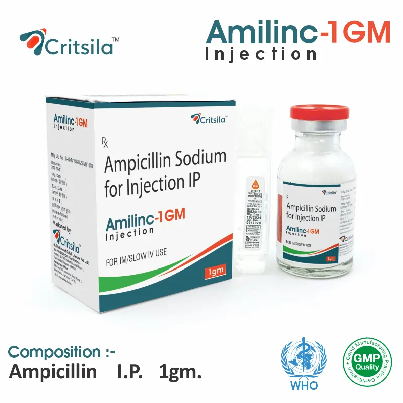 Ampicillin 1 gm injection PCD pharma franchise
